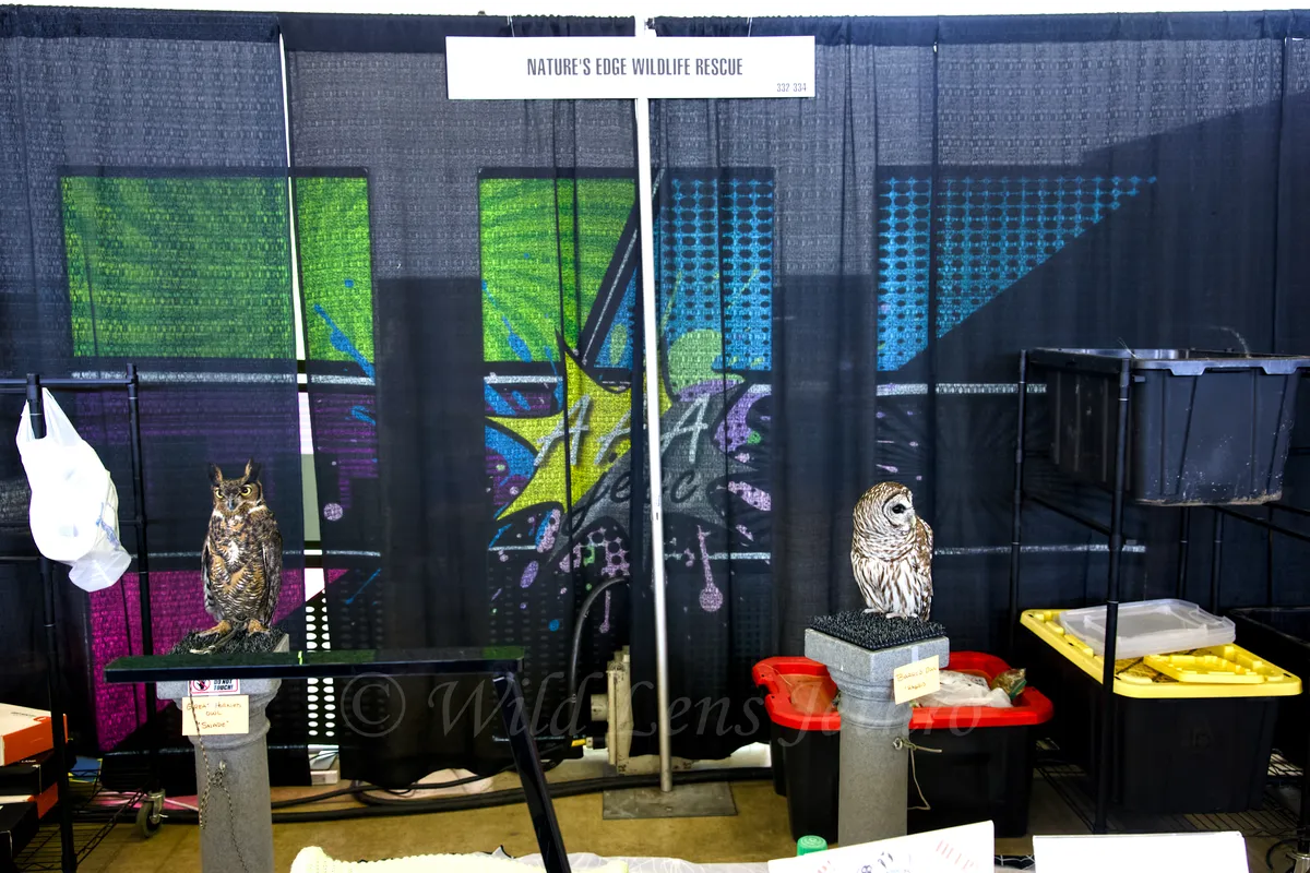 Natures Edge Wildlife Rescue