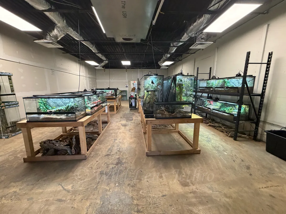 Reptile Room Straight View
