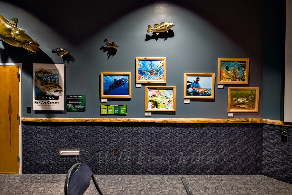 Childrens Art Contest Wall