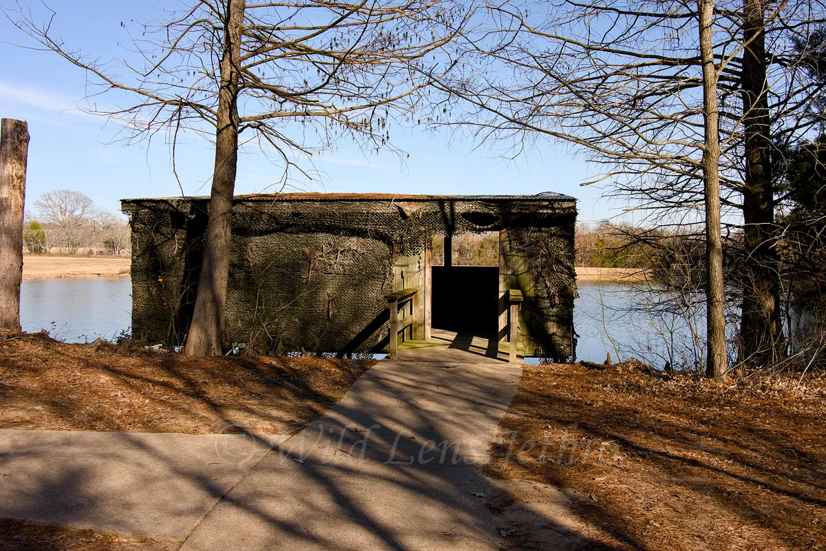 Duck Blinds At Third Fishing Pond