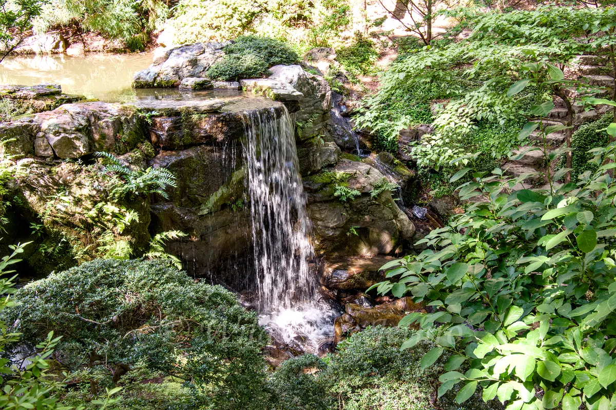 Garvan Woodland Gardens Waterfall Over Mossy Rocks