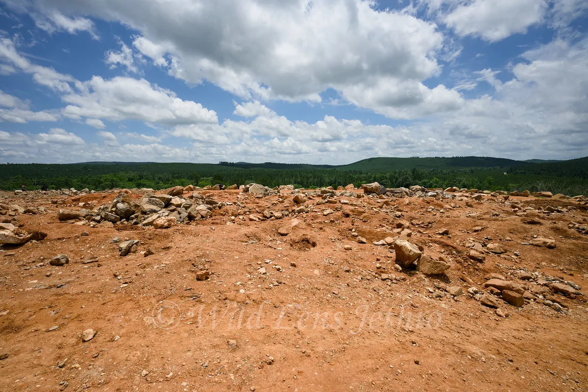 Ron Coleman Mining Dig Site Wide Angle With Trees In Distant Background