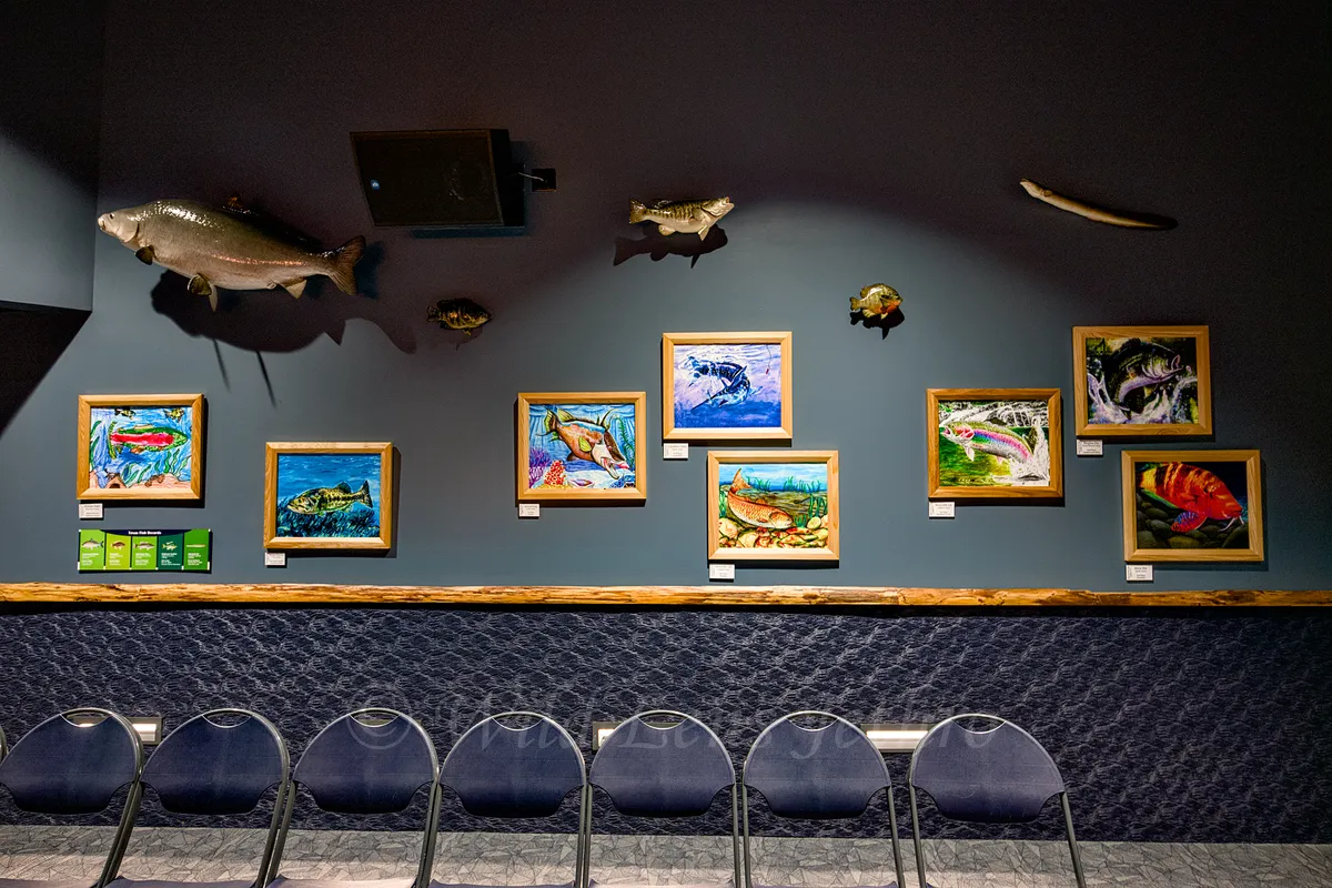 Childrens Art Contest Second Wall