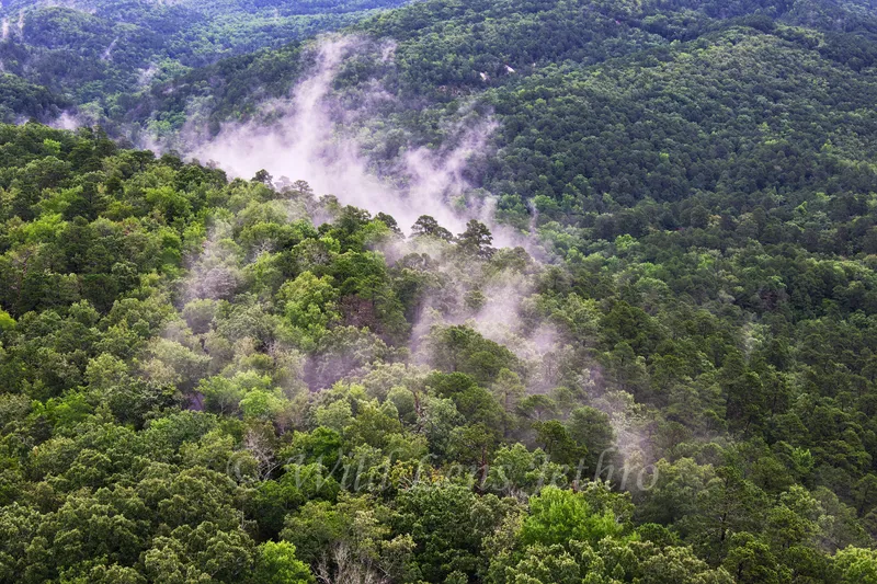 Hot Springs National Park Hot Mistings On Mountains View From Hot Springs Mountain Tower
