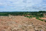 Ron Coleman Mining Dig Site Wide Angle With Trees In Background