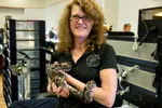 Rexinger Reptiles Vendor Holding Ball Python
