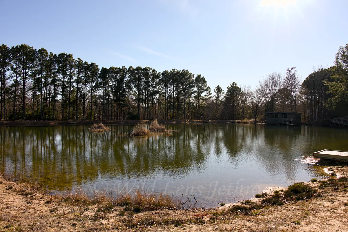 Third Fishing Pond Zoomed