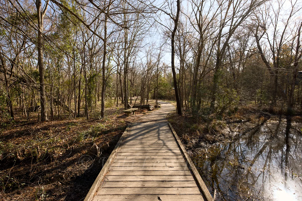 Trail Bridge Over Water