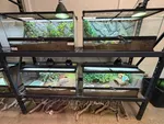 Turtle Tanks