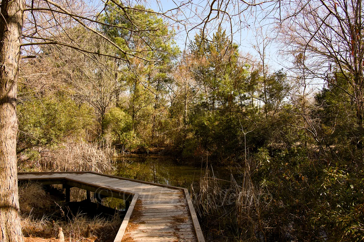 Curving Trail Bridge Over Water